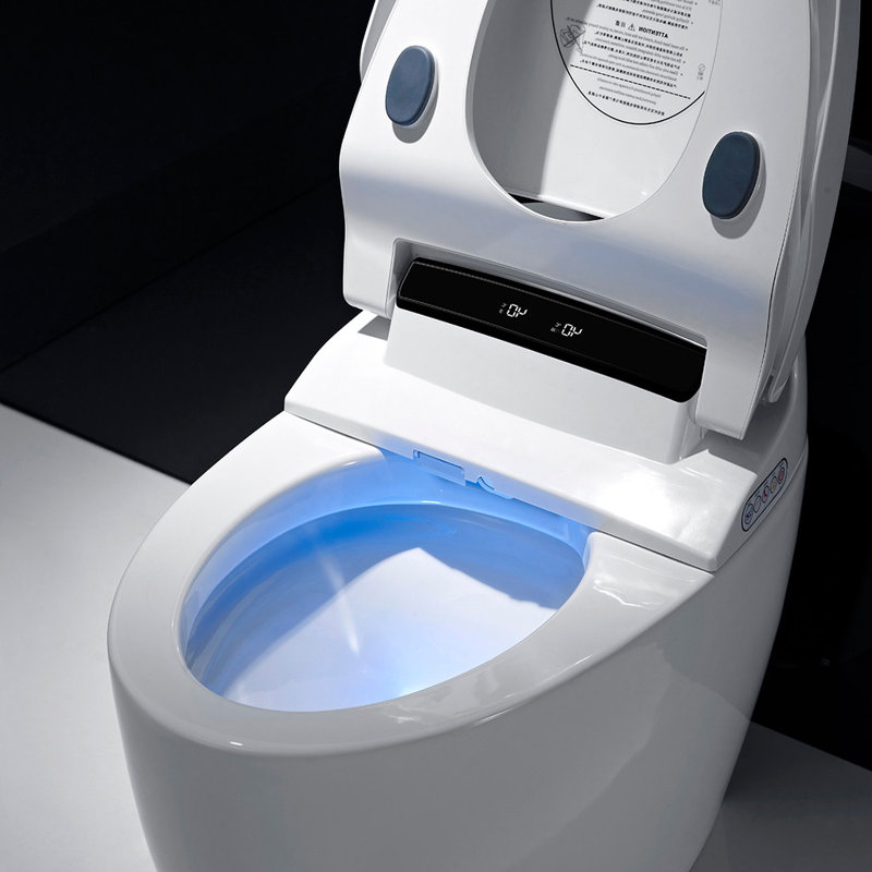 XSIX Smart Bidet Elongated Toilet Bidet, Warm Water Clear, Auto Flush
